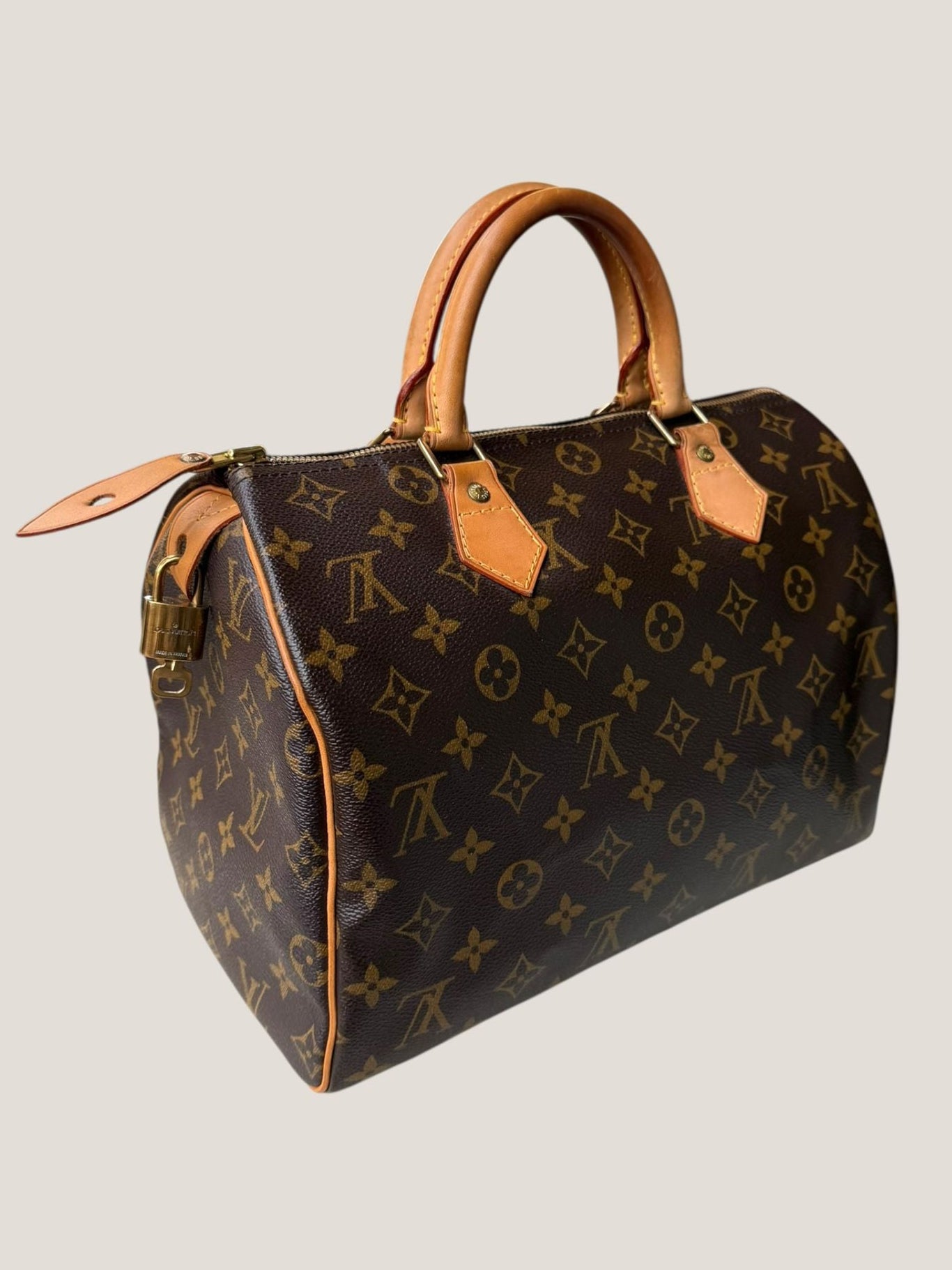 Louis Vuitton Speedy 30 Monogram