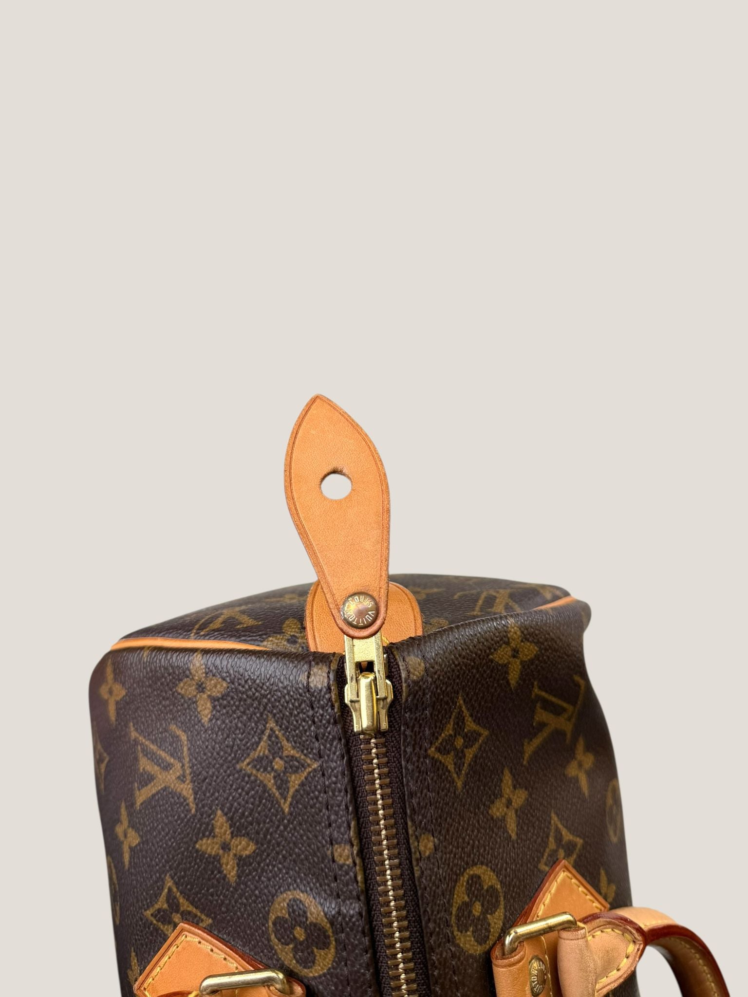 Louis Vuitton Speedy 30 Monogram