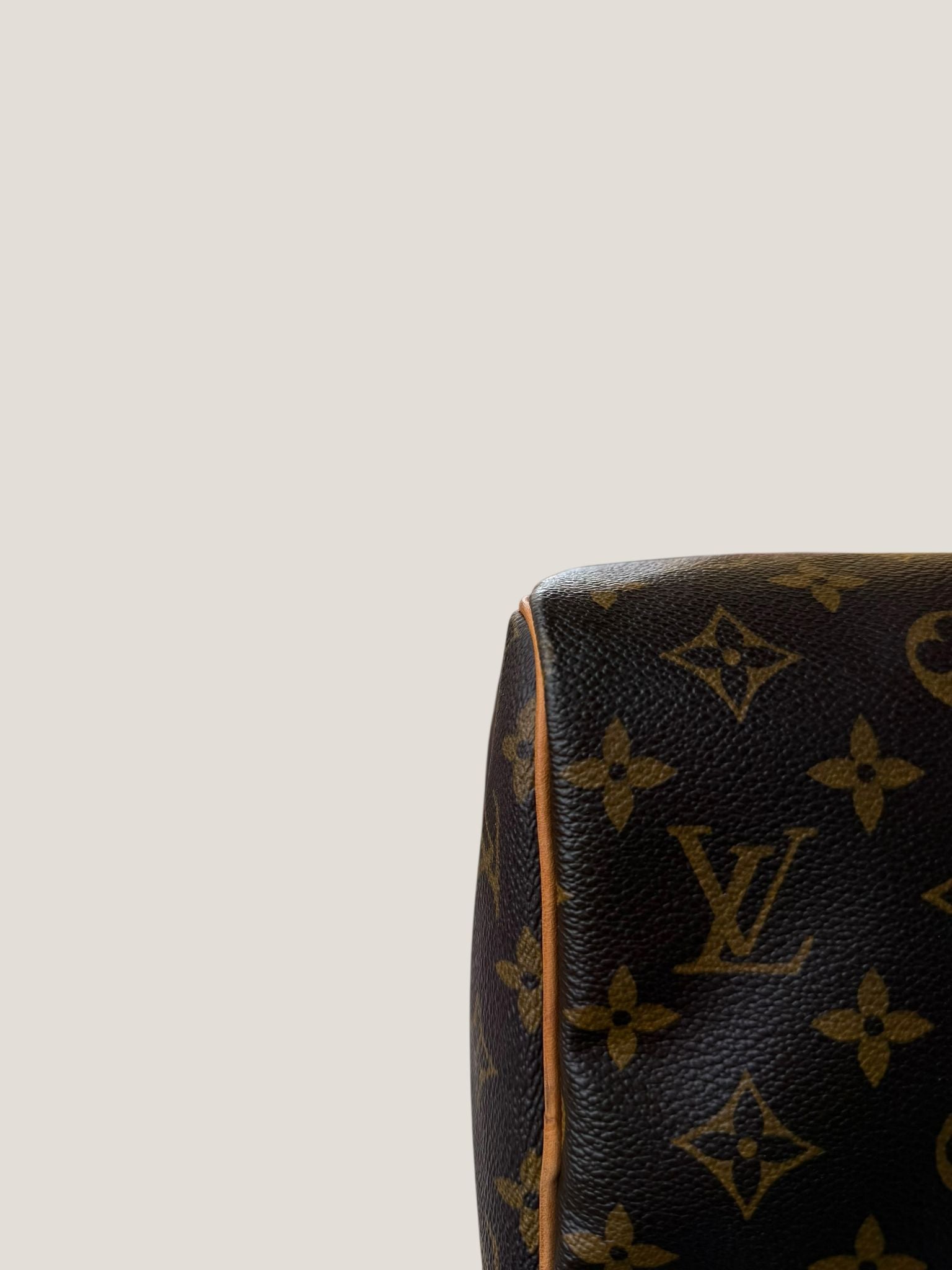 Louis Vuitton Speedy 30 Monogram