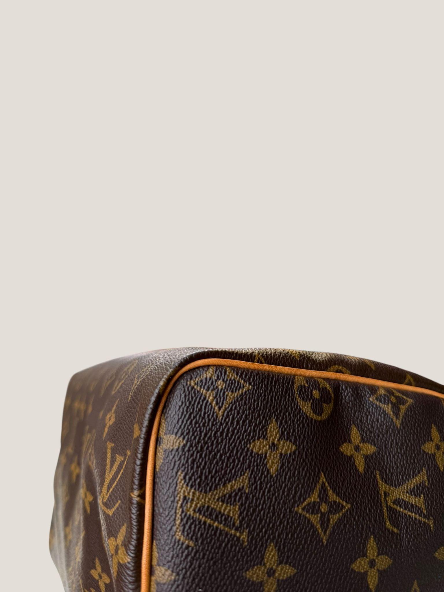 Louis Vuitton Speedy 30 Monogram
