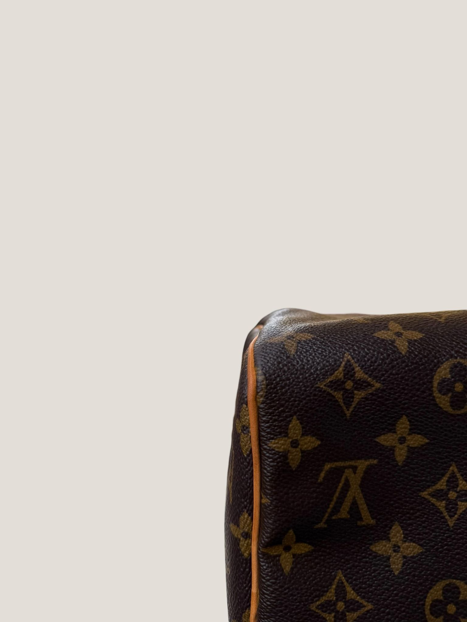 Louis Vuitton Speedy 30 Monogram