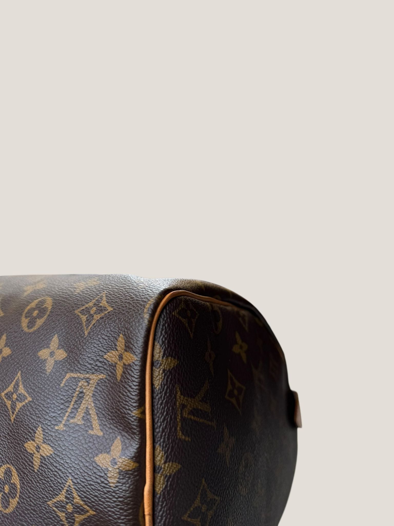 Louis Vuitton Speedy 30 Monogram