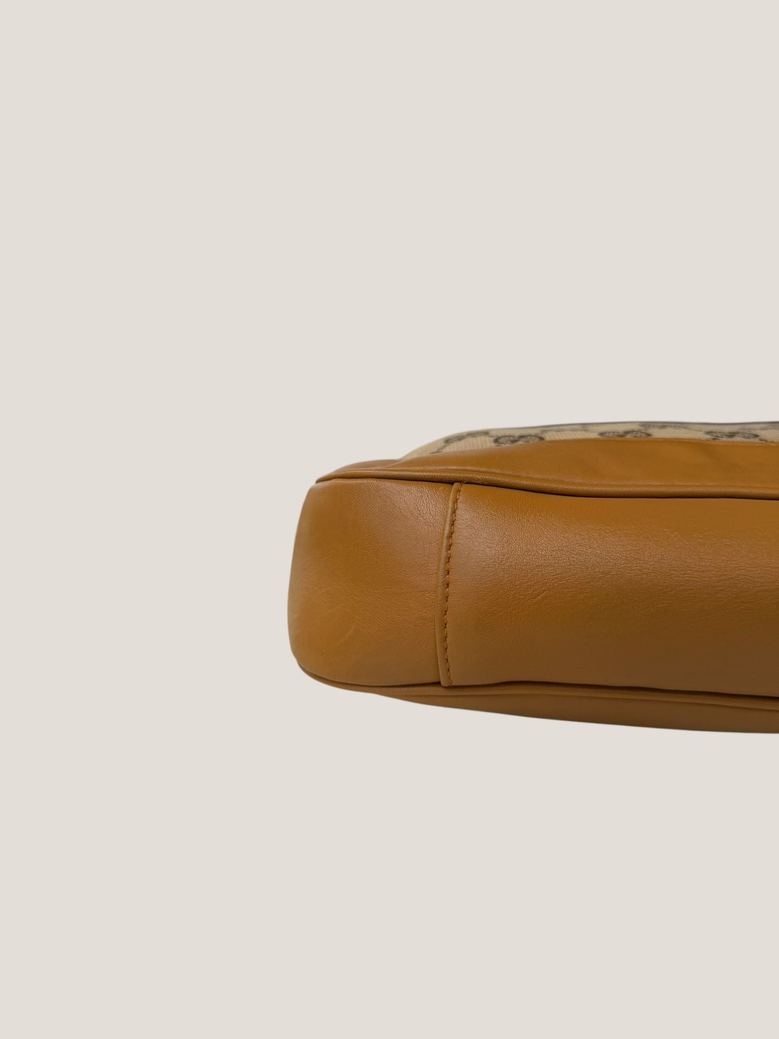 Gucci bamboo GG canvas