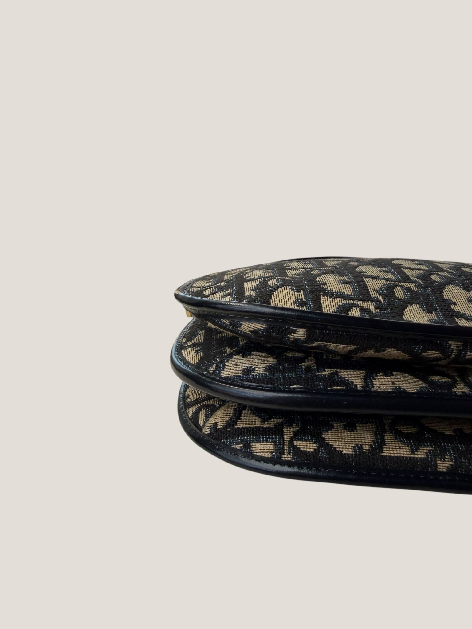 Christian Dior Trotter bag