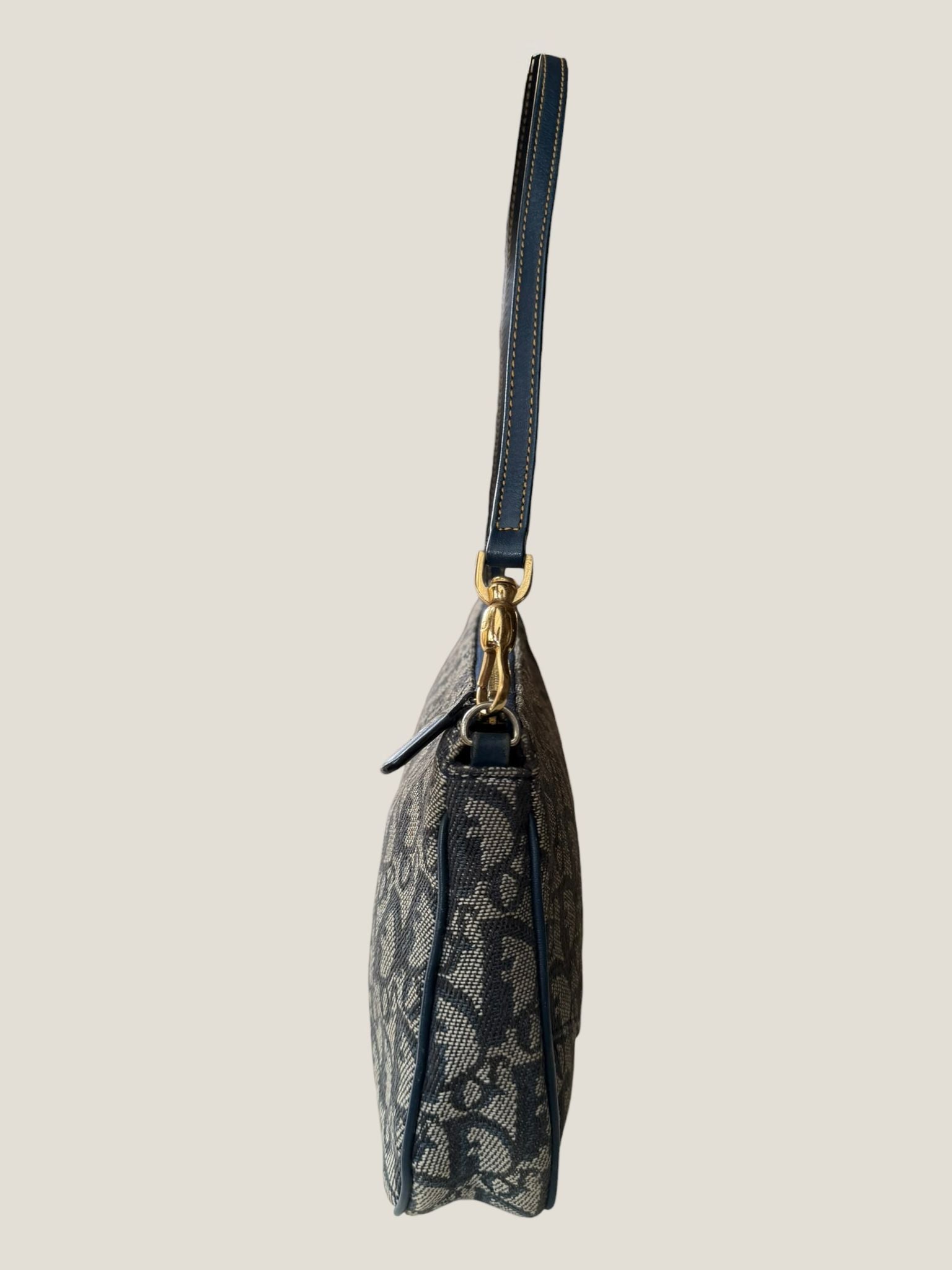 Dior Saddle Mini Trotter