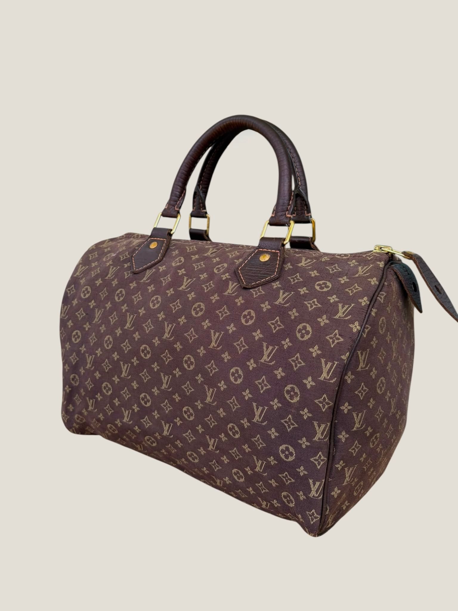 Louis Vuitton Mini Lin Speedy 30