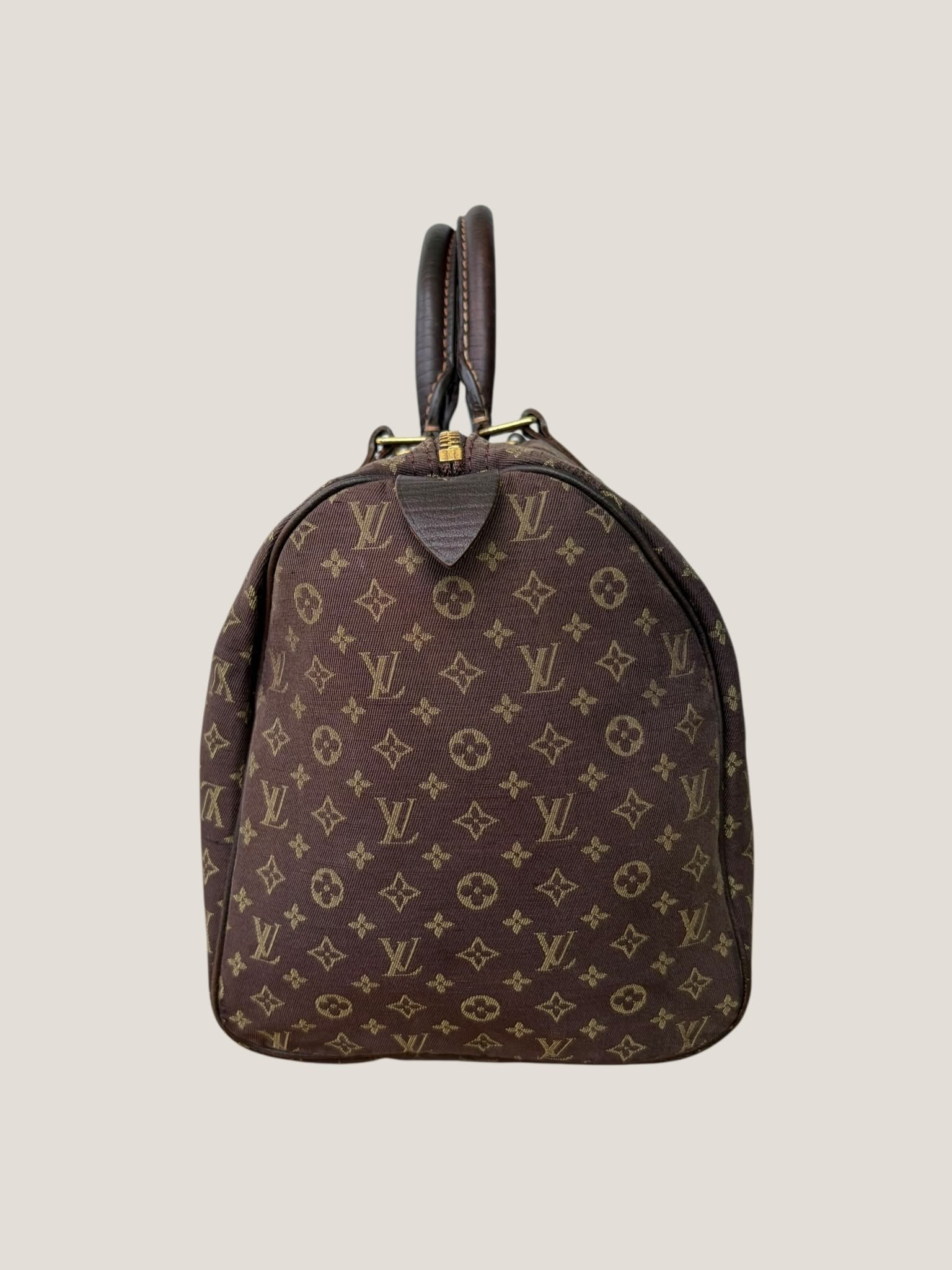 Louis Vuitton Mini Lin Speedy 30