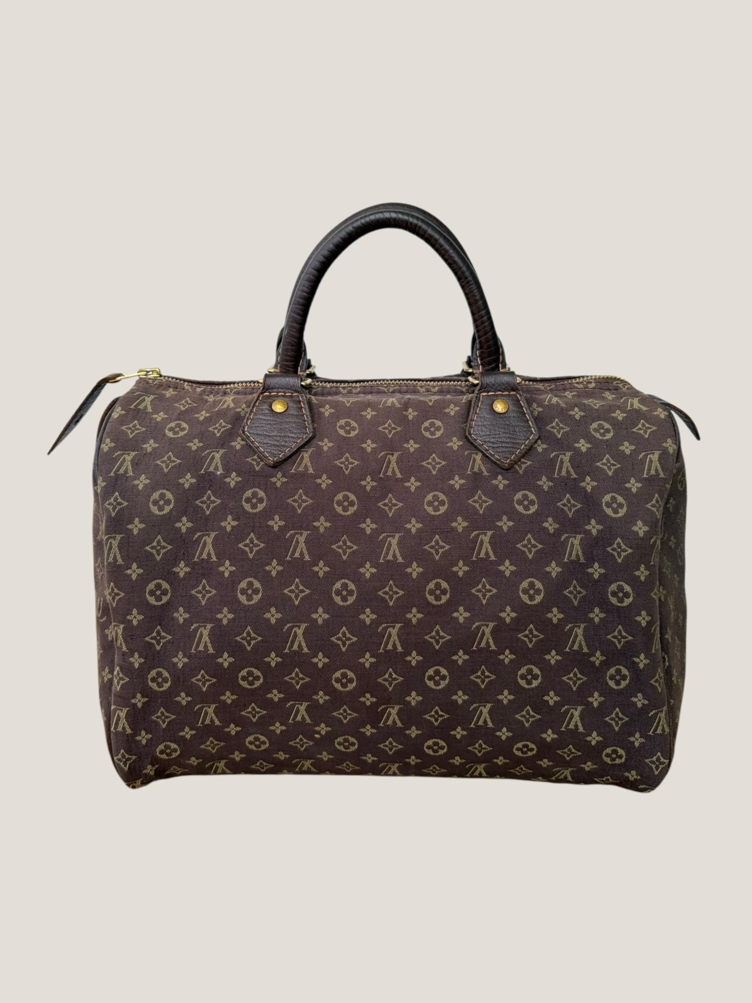 Louis Vuitton Mini Lin Speedy 30