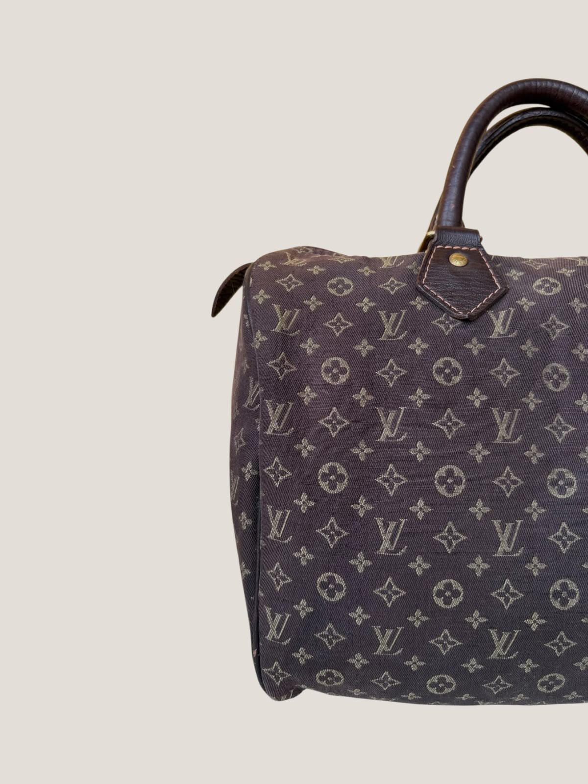 Louis Vuitton Mini Lin Speedy 30