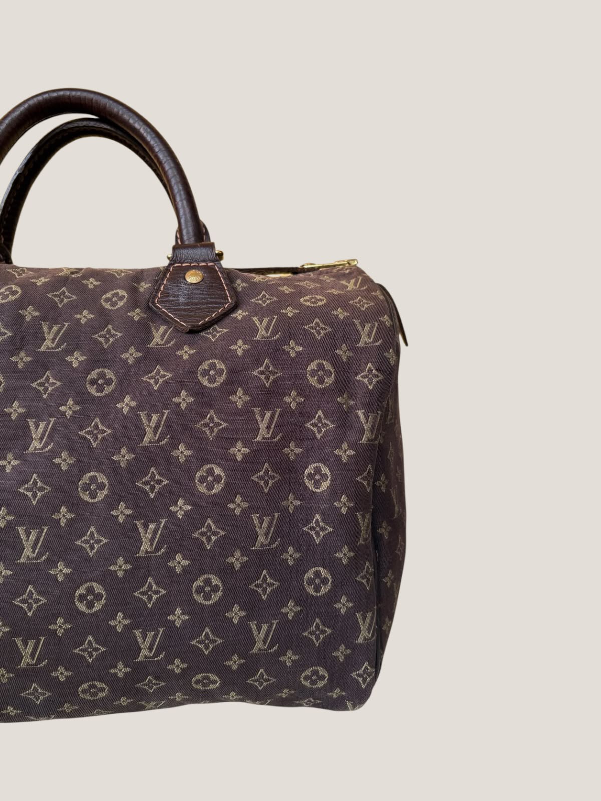 Louis Vuitton Mini Lin Speedy 30