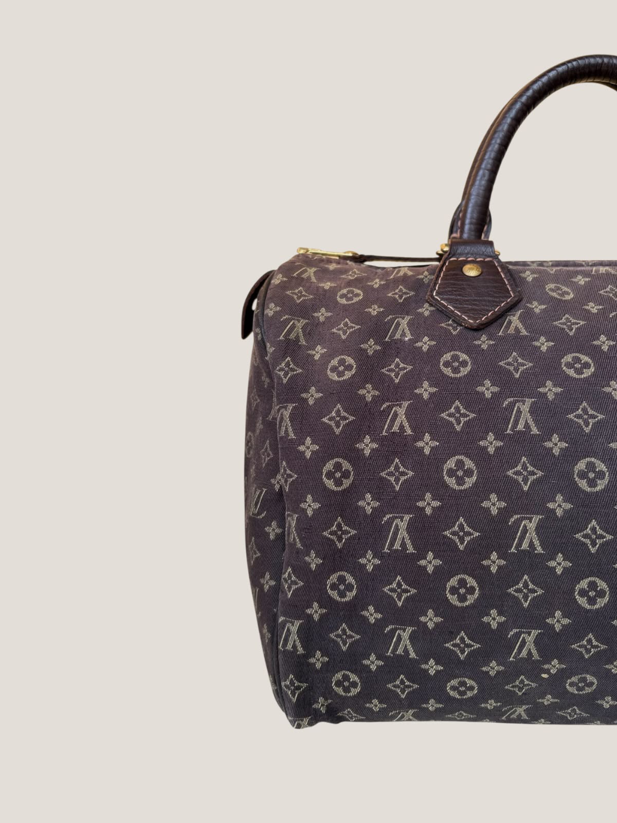Louis Vuitton Mini Lin Speedy 30