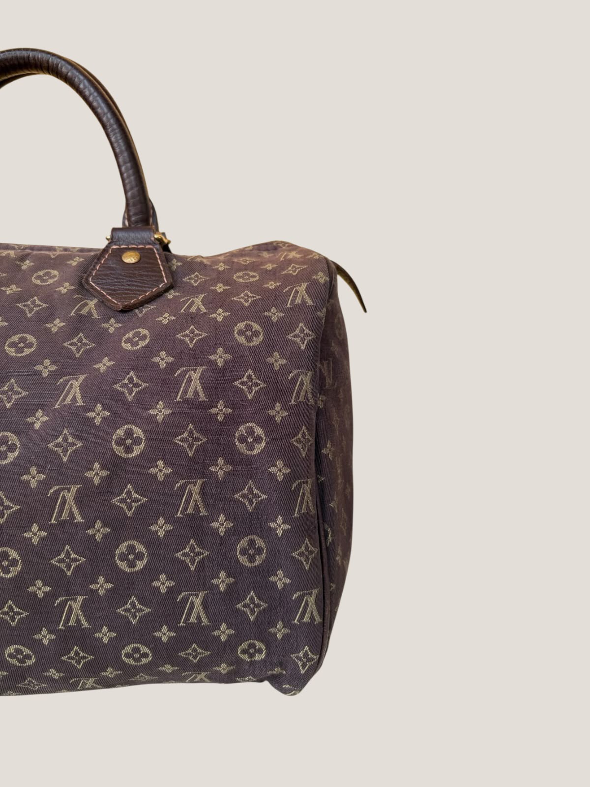 Louis Vuitton Mini Lin Speedy 30