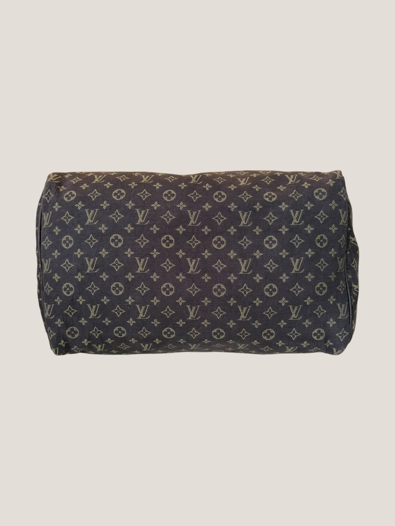 Louis Vuitton Mini Lin Speedy 30