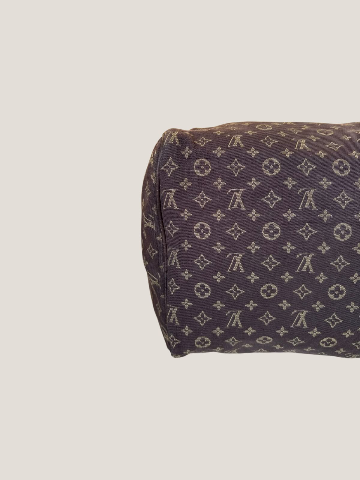Louis Vuitton Mini Lin Speedy 30