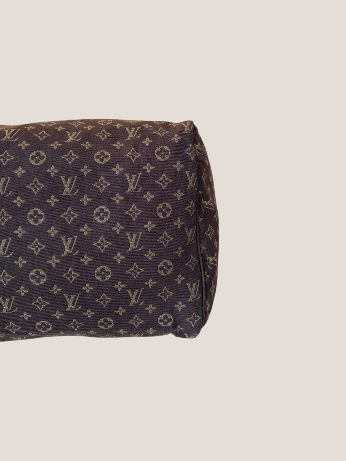 Louis Vuitton Mini Lin Speedy 30