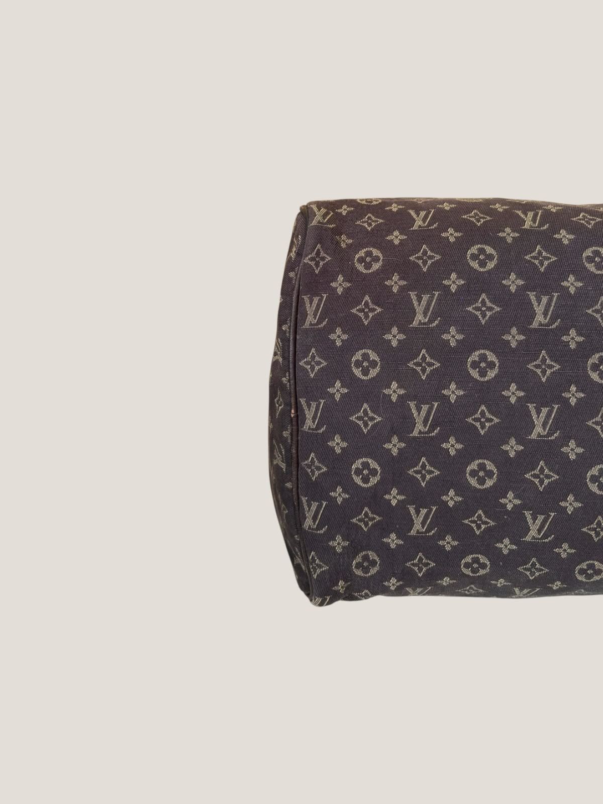 Louis Vuitton Mini Lin Speedy 30