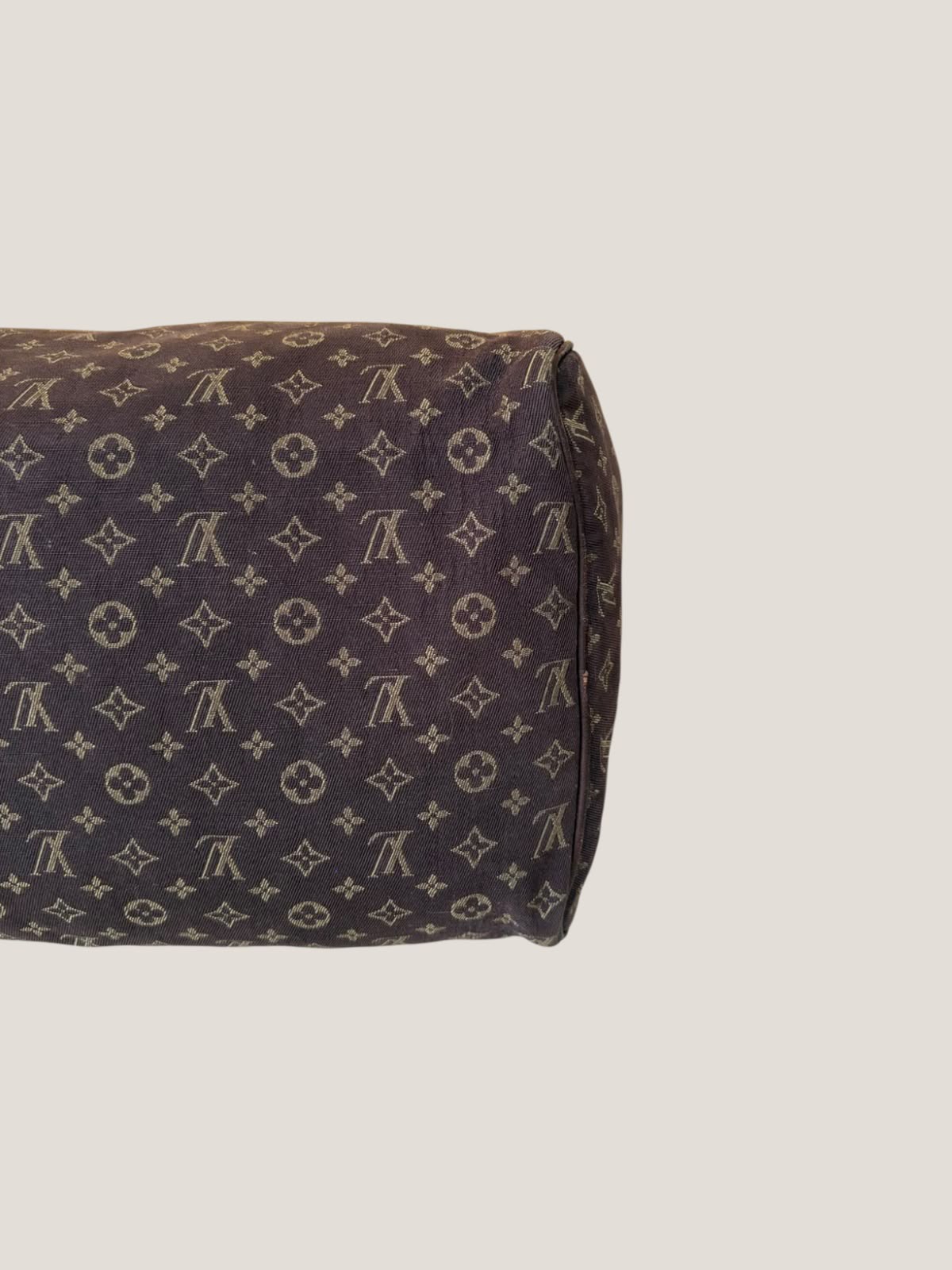 Louis Vuitton Mini Lin Speedy 30