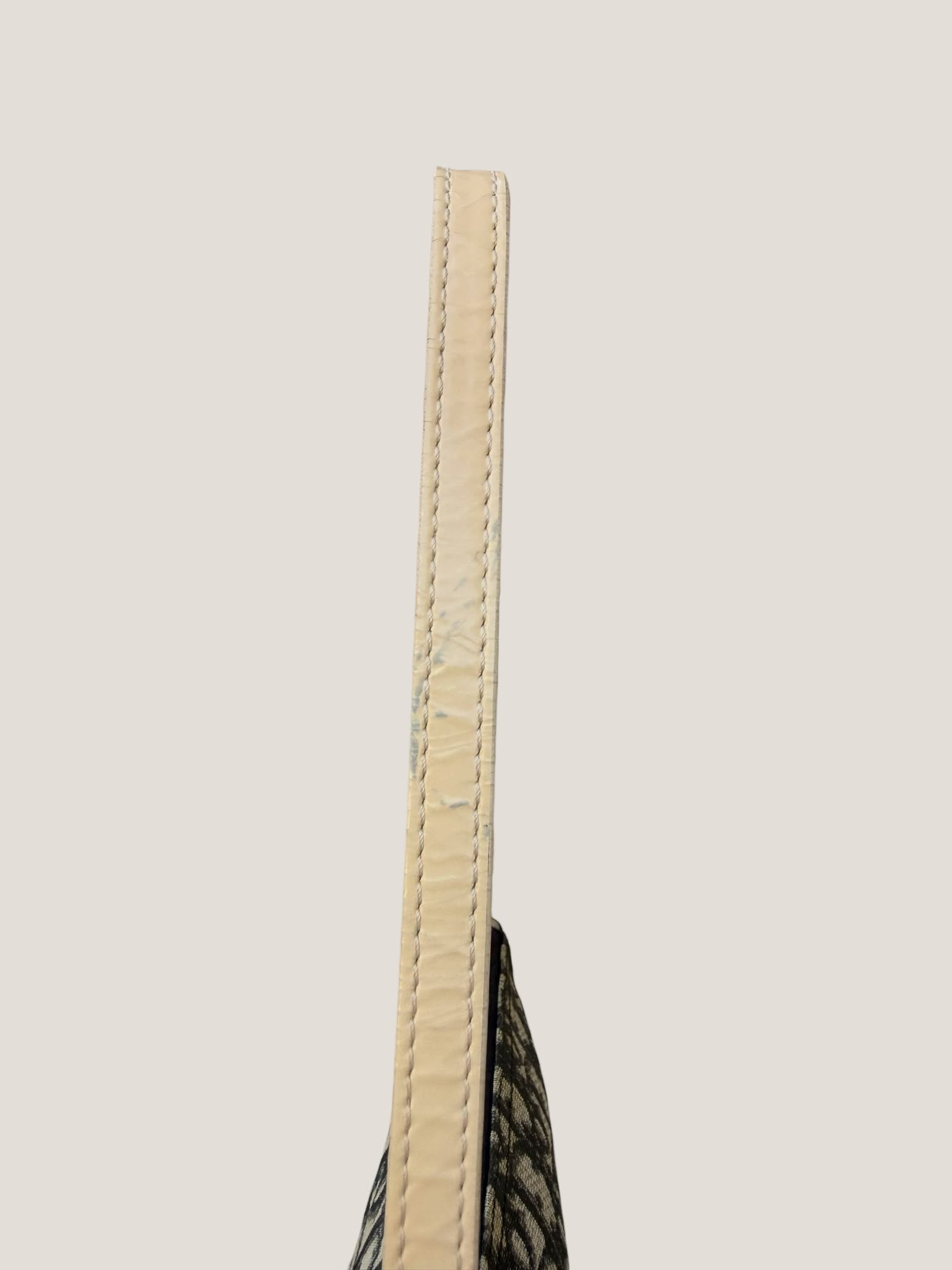 Dior Oblique Mini Saddle