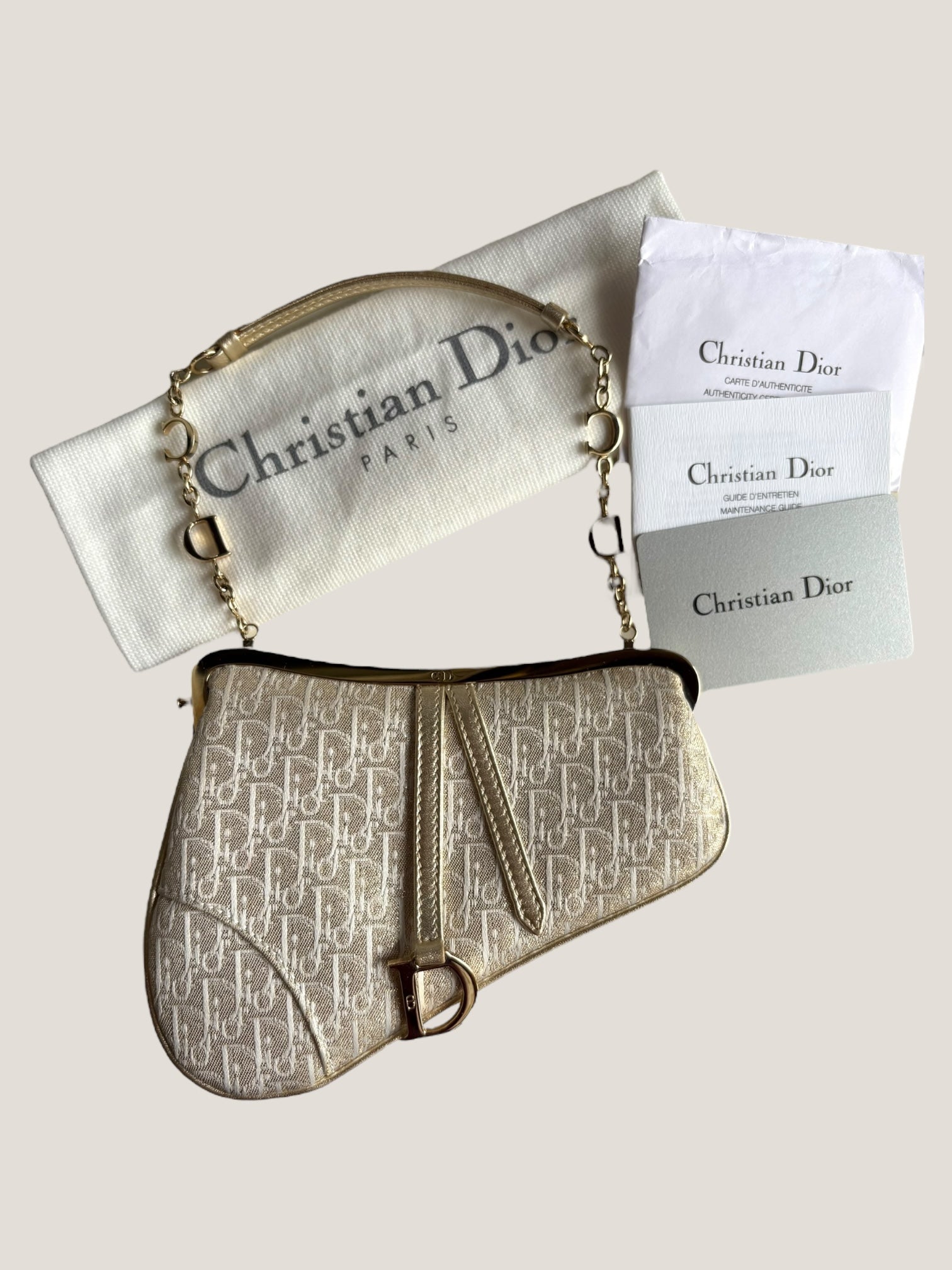 Christian Dior Mini Saddle